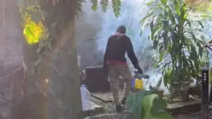 cold fogging pest control