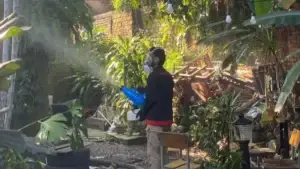 cold fogging basmi nyamuk