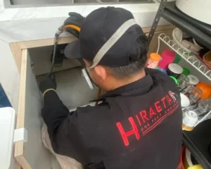 tukang rayap dan jasa anti rayap