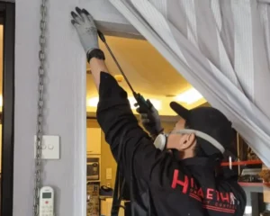 ahli rayap hiraeth pest