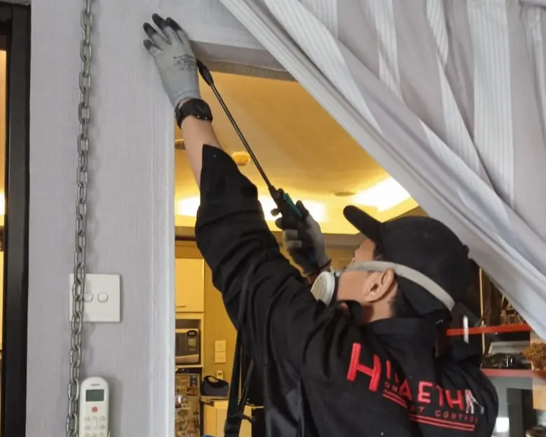 ahli rayap hiraeth pest