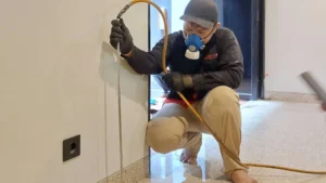 ahli rayap berpengalaman