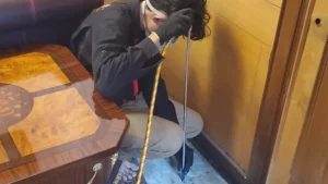 jasa anti rayap murah