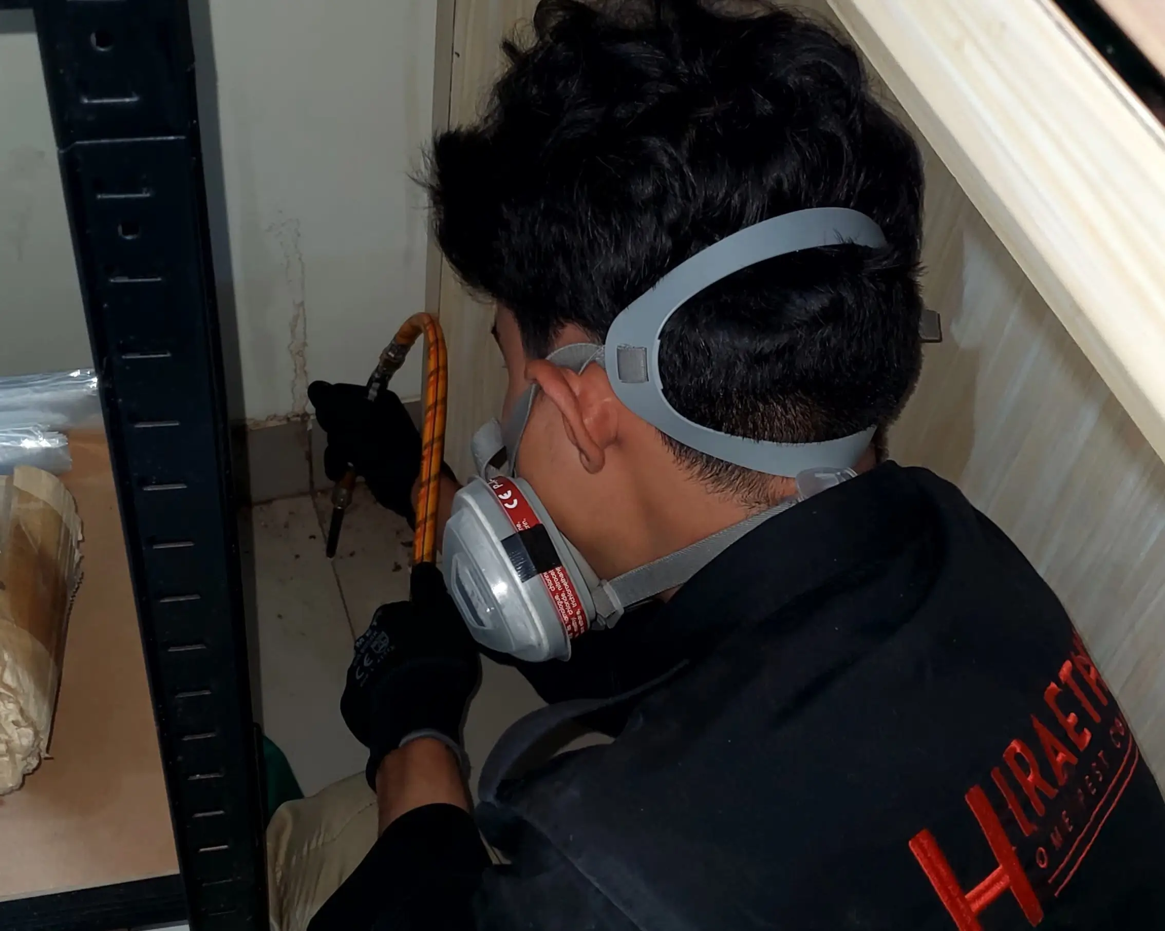 jasa anti rayap drill injection