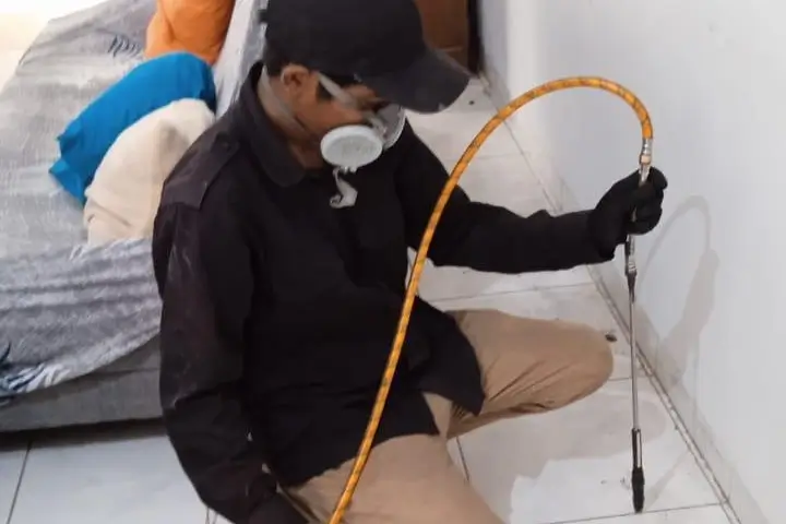 jasa anti rayap jakarta