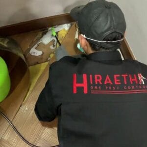 berapa biaya jasa anti rayap