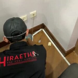 jasa anti rayap surabaya