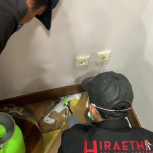 jasa-anti-rayap-tangerang