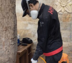 tukang pembasmi rayap