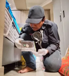 harga-jasa-pembasmi-kecoa