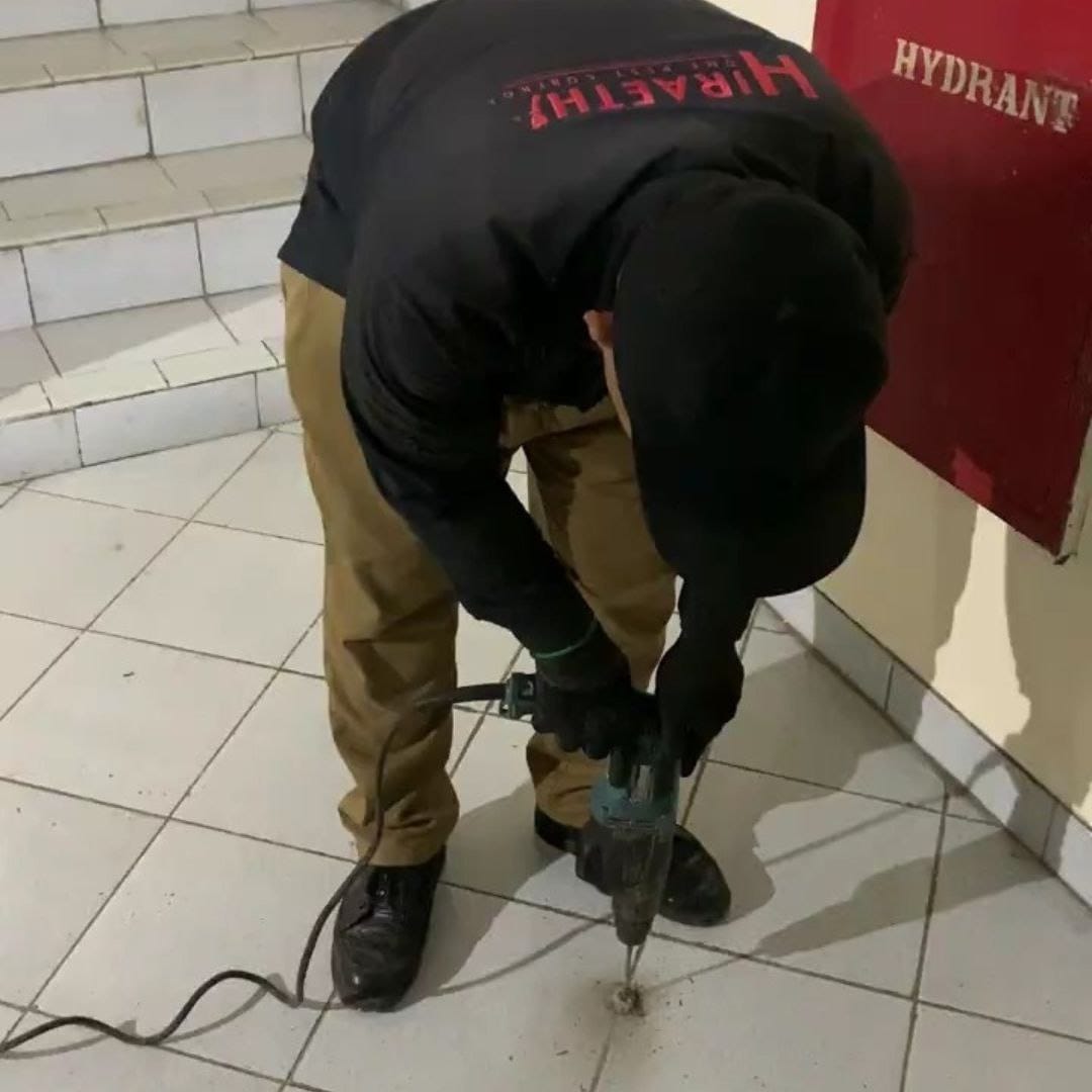 jasa anti rayap jogja