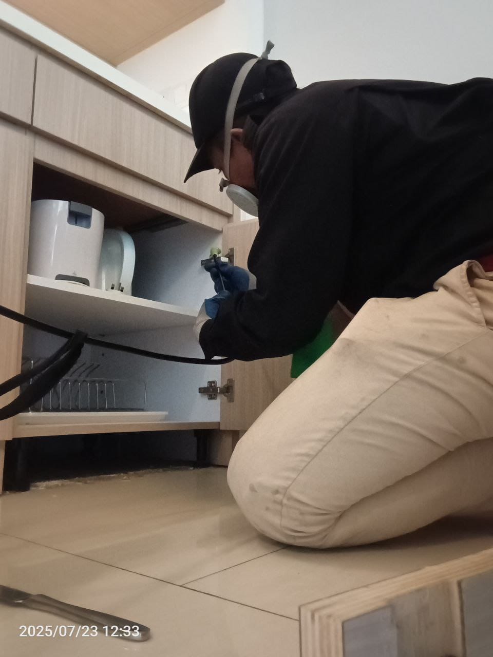 jasa pembasmi semut klaten