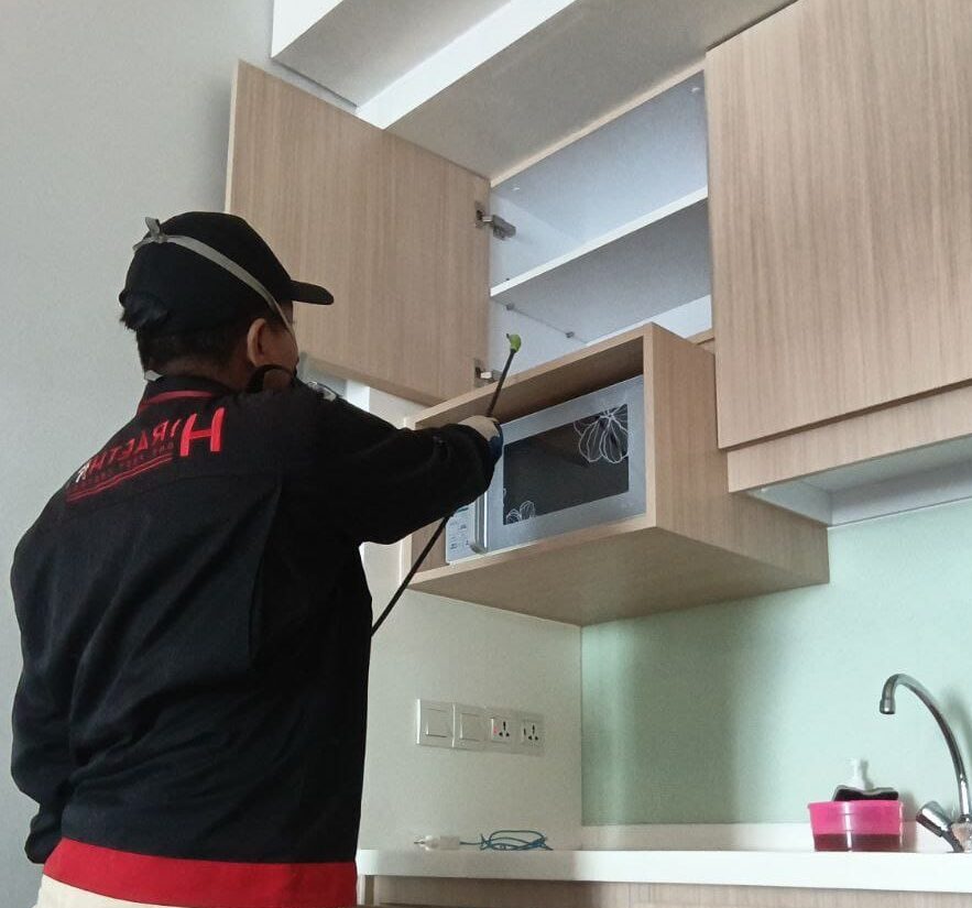 jasa pembasmi semut di rumah