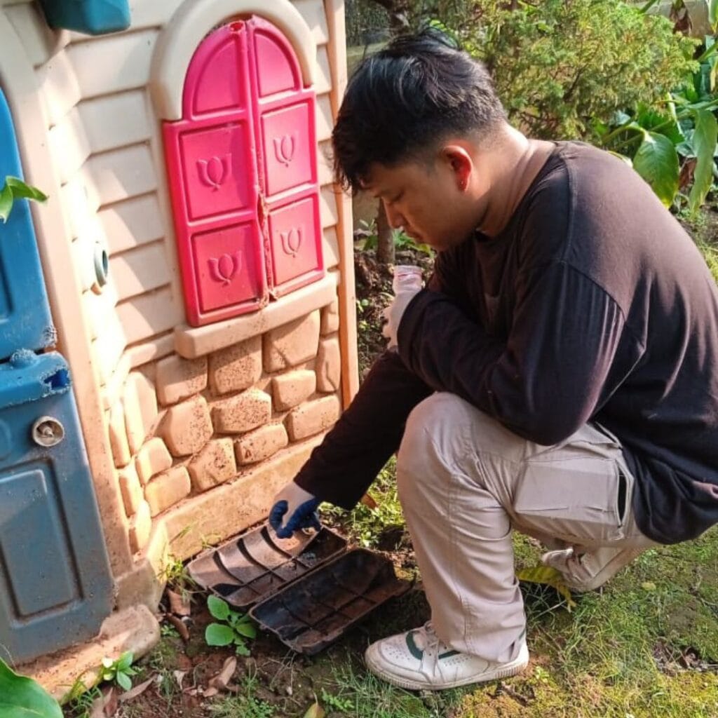 jasa pembasmi tikus