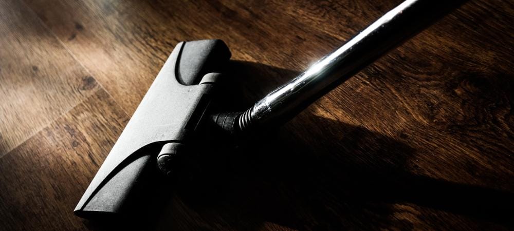 Apakah-Penyedot-Debu-Efektif-untuk-Mencegah-Hama