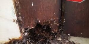 cara membasmi rayap di kusen pintu